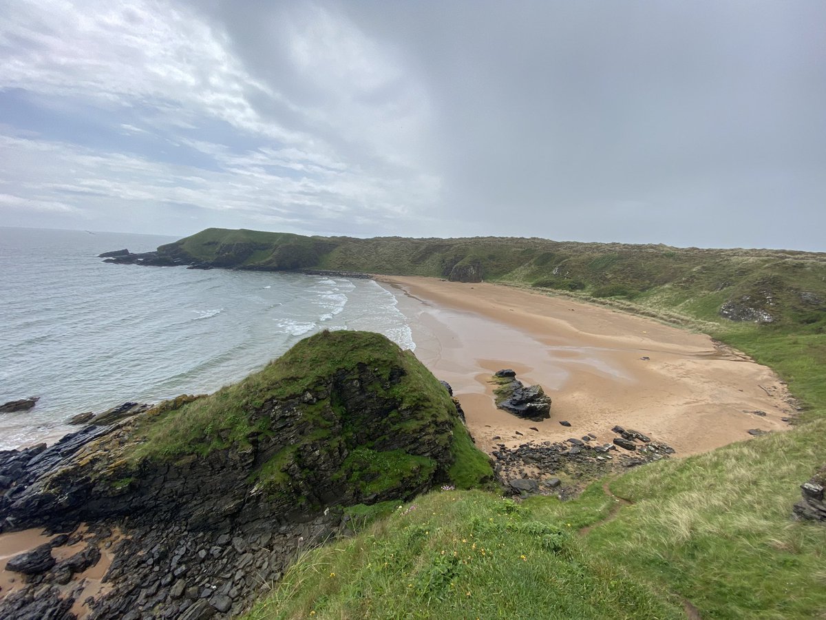 jennifermcbeath's tweet photo. Back in happy place #HackleyBay #Forvie #Scotland #Aberdeen #nature https://t.co/JzP4bRSHDU