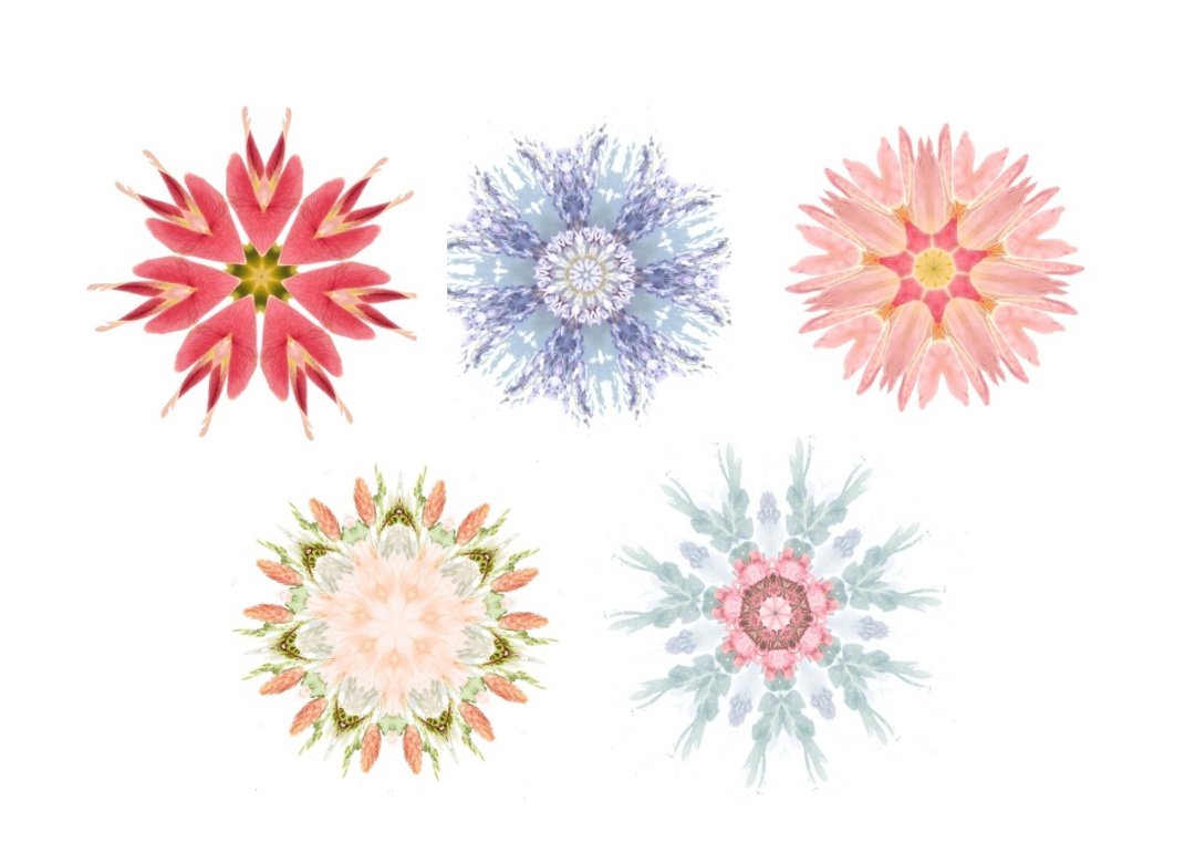 @LadaDi53841438 Art should be something that liberates your soul and mind, and help you to find your internal peace 🦚

Hope my art makes your day brighter 🌻🌸

0.005 #eth

opensea.io/collection/amb… 

#NFTCommunity #NFTs #NFTcollections