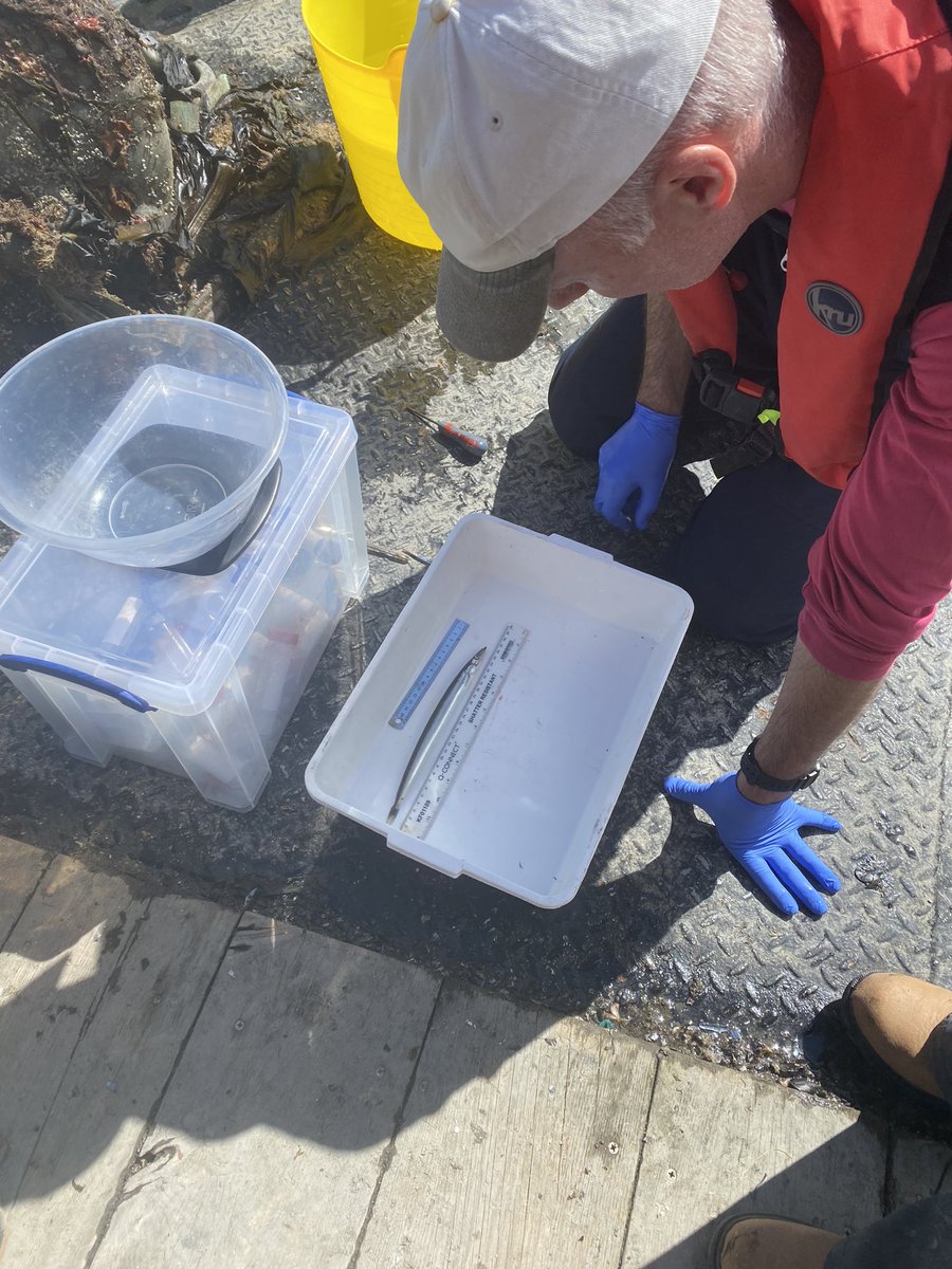 Emma Stuart tweet media