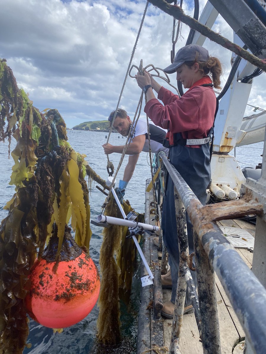 Emma Stuart tweet media