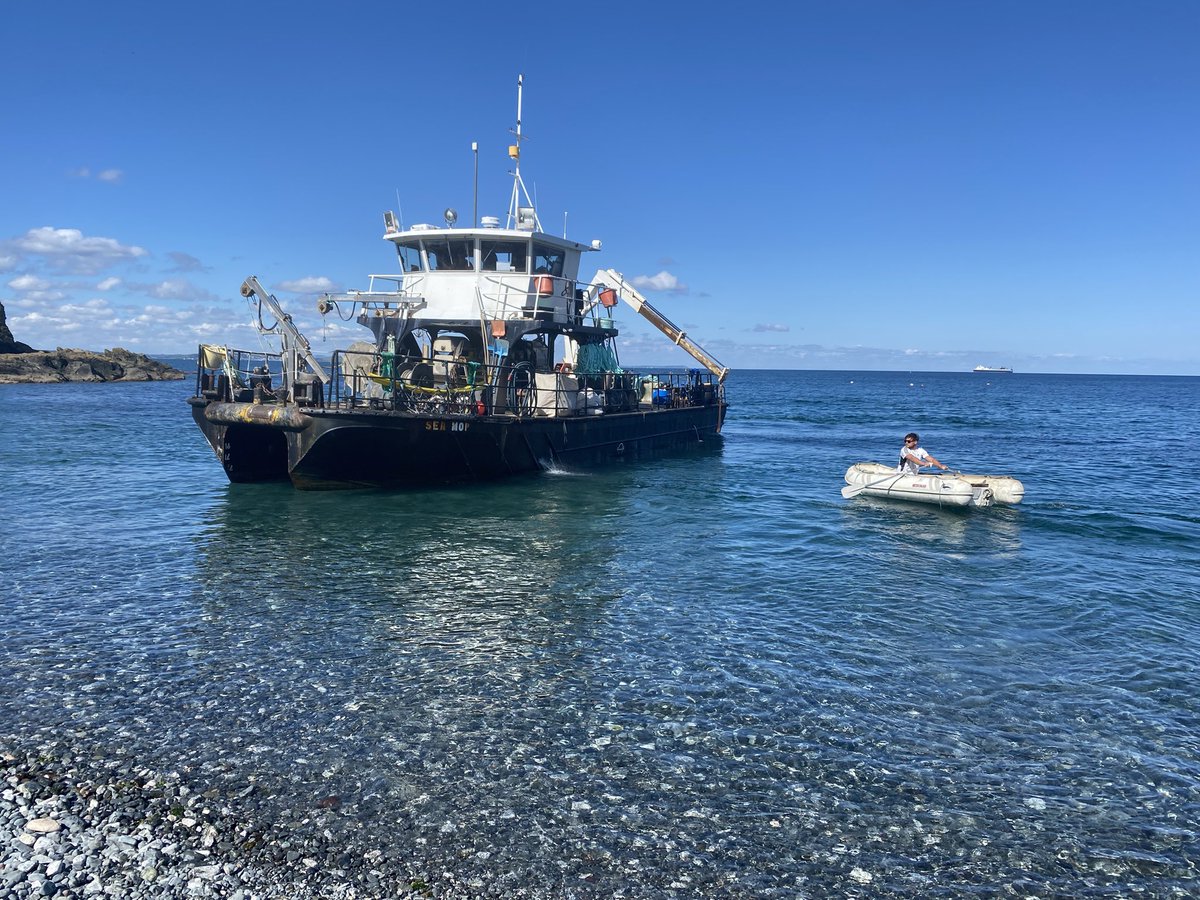 Emma Stuart tweet media