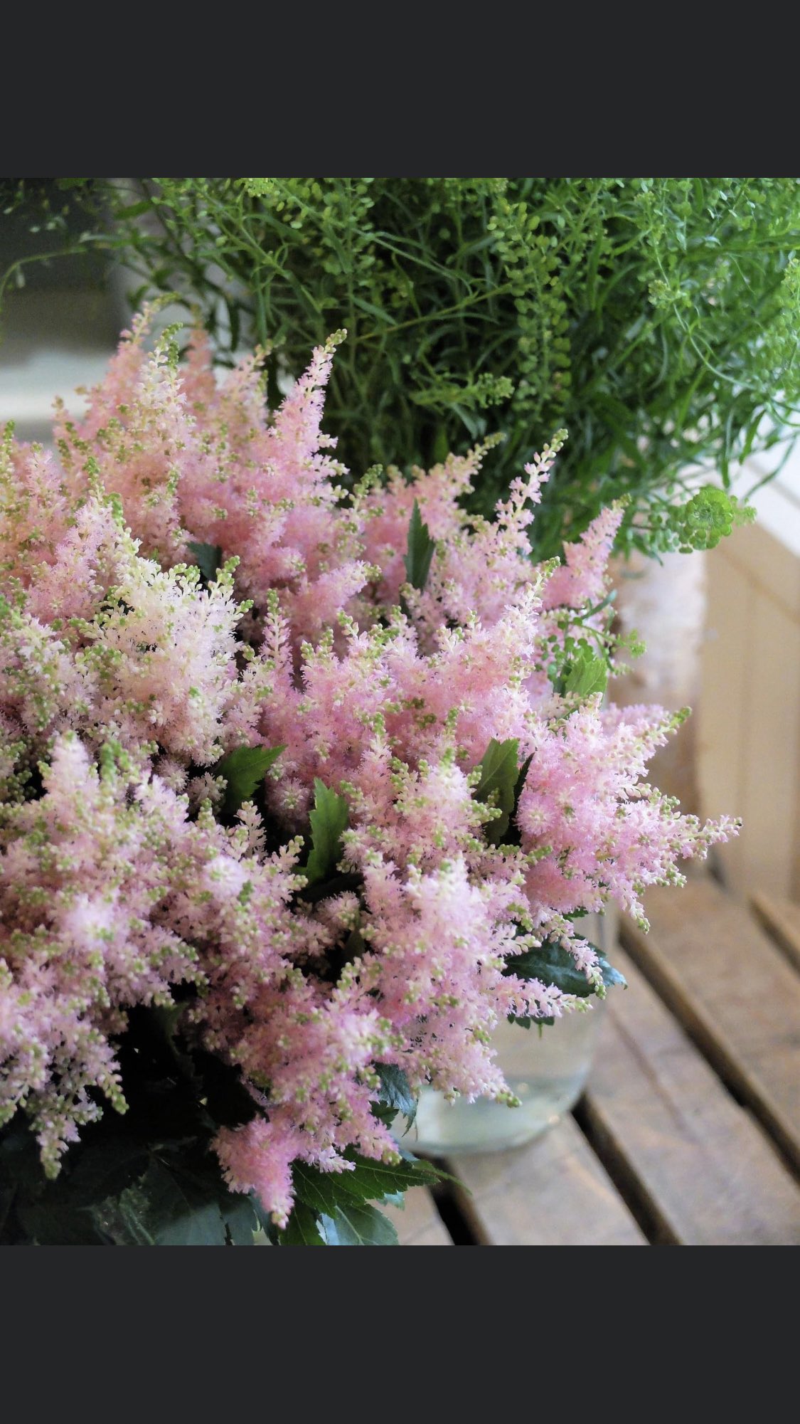 やぴin The House 6月1日 水 おはようございます 今日は 気象記念日 世界牛乳の日 牛乳は昔から大好きでした 今日の誕生花は アスチルベ 花言葉は 自由 皆様にとって安全で笑顔溢れる素敵な一日になりますように 6月も笑っていきましょう