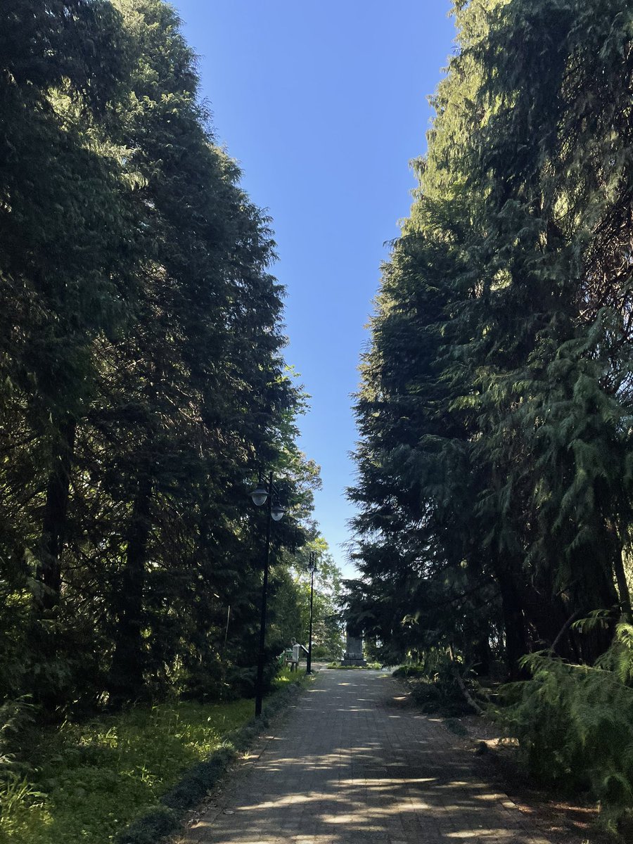 Rawan (@rawanzzer) on Twitter photo 