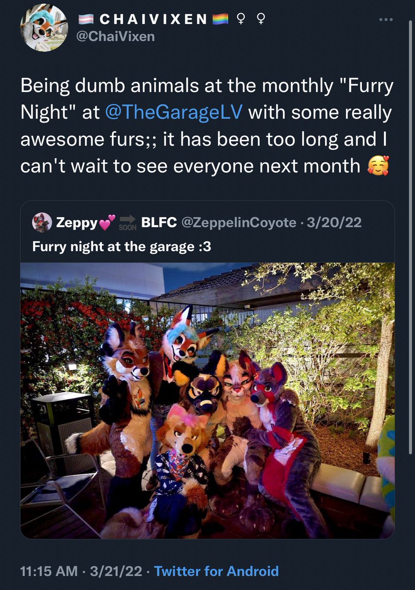 booblesfennec's tweet photo. https://t.co/L8ZyMJYR0b