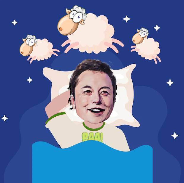JCOtrading69's tweet photo. @SpaceX @Space_Station Baaaaaa π #BaaInu @baa_inu https://t.co/iZpV8OO0RU