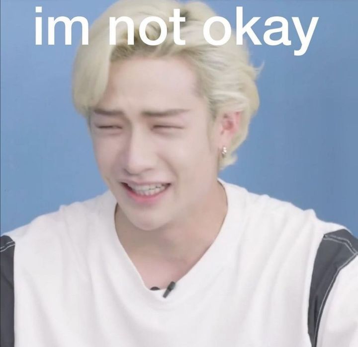 oddinarybokki's tweet photo. @babyphototext Hes literally us https://t.co/3WWF6P627C