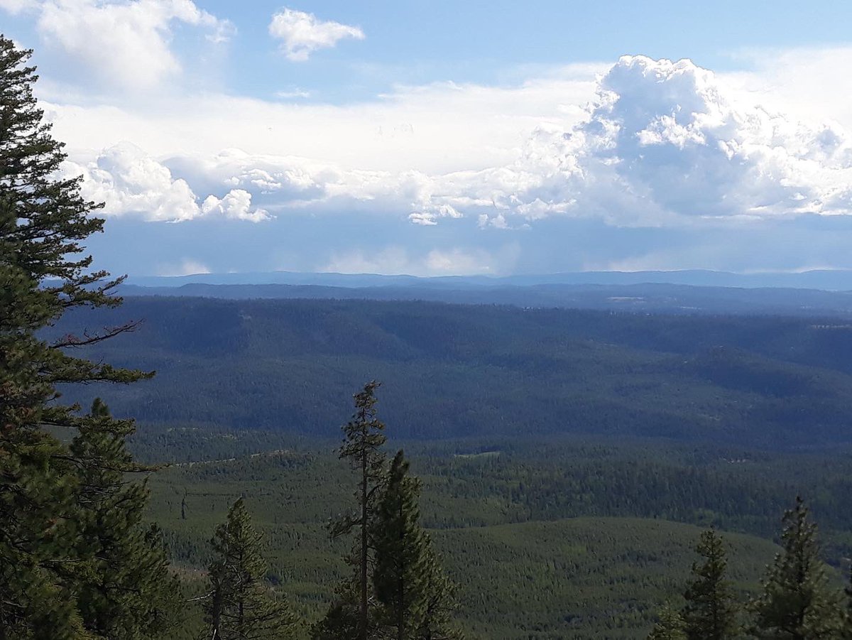 The petrology field trip took students around the NE corner of Oregon, where they got to see the famous Ignimbrite-CRBG basalt contact and a bunch of other major geologic features that shaped Oregon! 🙌🏼 Does PSU Geology have the best field trips or what?? 

#geology #earthscience