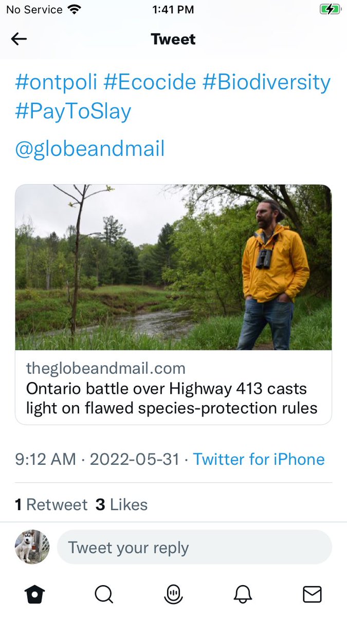 ThorMiss's tweet photo. Save Ontario from dofo + complicit self interest  OntarioPCParty vote greens or ndp #onpoli #barrie #savelakesimcoe #mississauga #brampton #niagara #streetsville #cambridge #essex #parrysound #muskoka @MikeSchreiner https://t.co/mxNZSfWplc