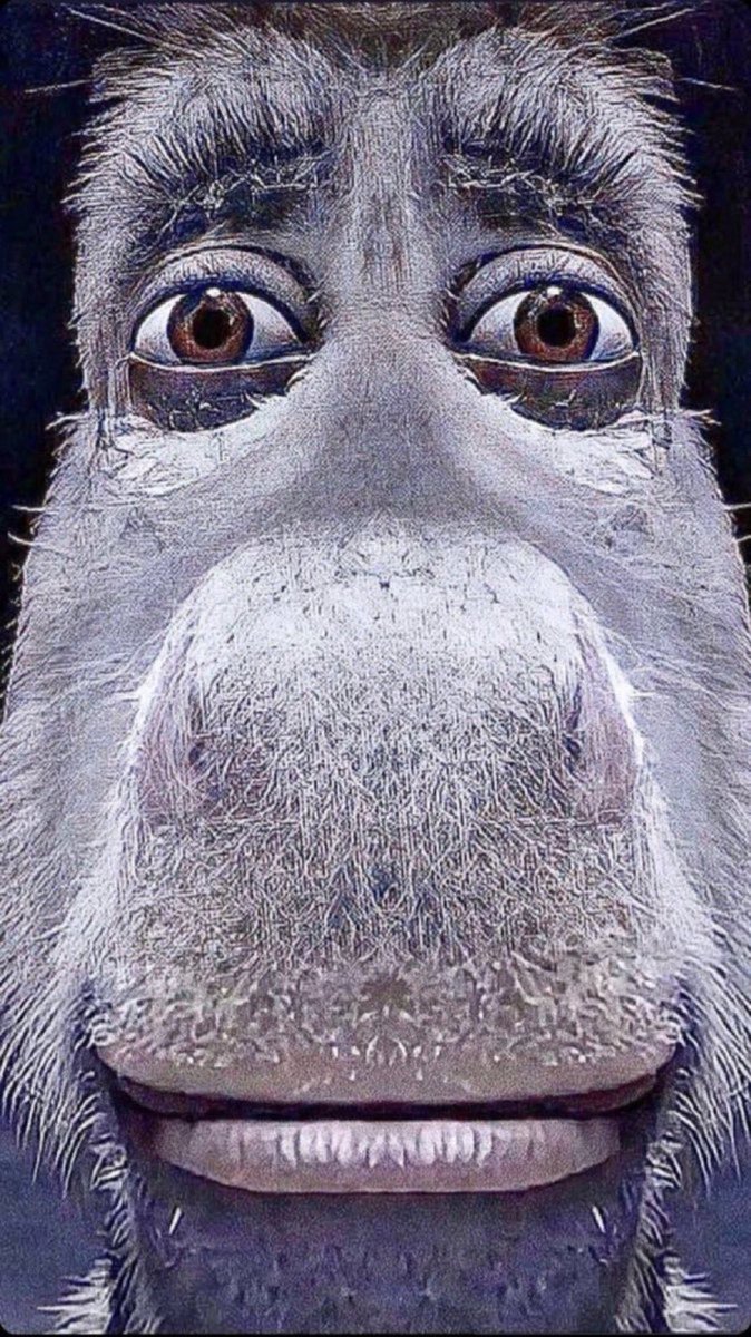 mahito fans kwangya (@maihtos) on Twitter photo 