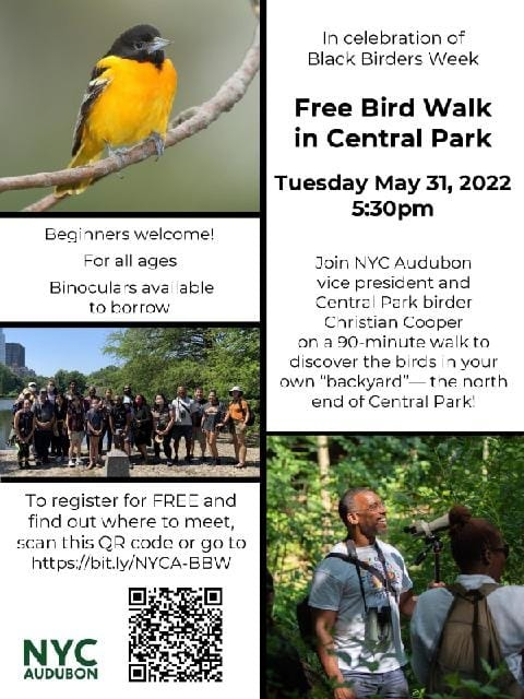 BlackAFinSTEM's tweet photo. If you're in NYC and looking for something to do this afternoon, there's a FREE bird walk with Christian Cooper in @CentralParkNYC!
Register here to find out where to meet! https://t.co/cokKOgjhc5
#BlackBirdersWeek2022 #LearningToTakeFlight https://t.co/ja47GWjQUs