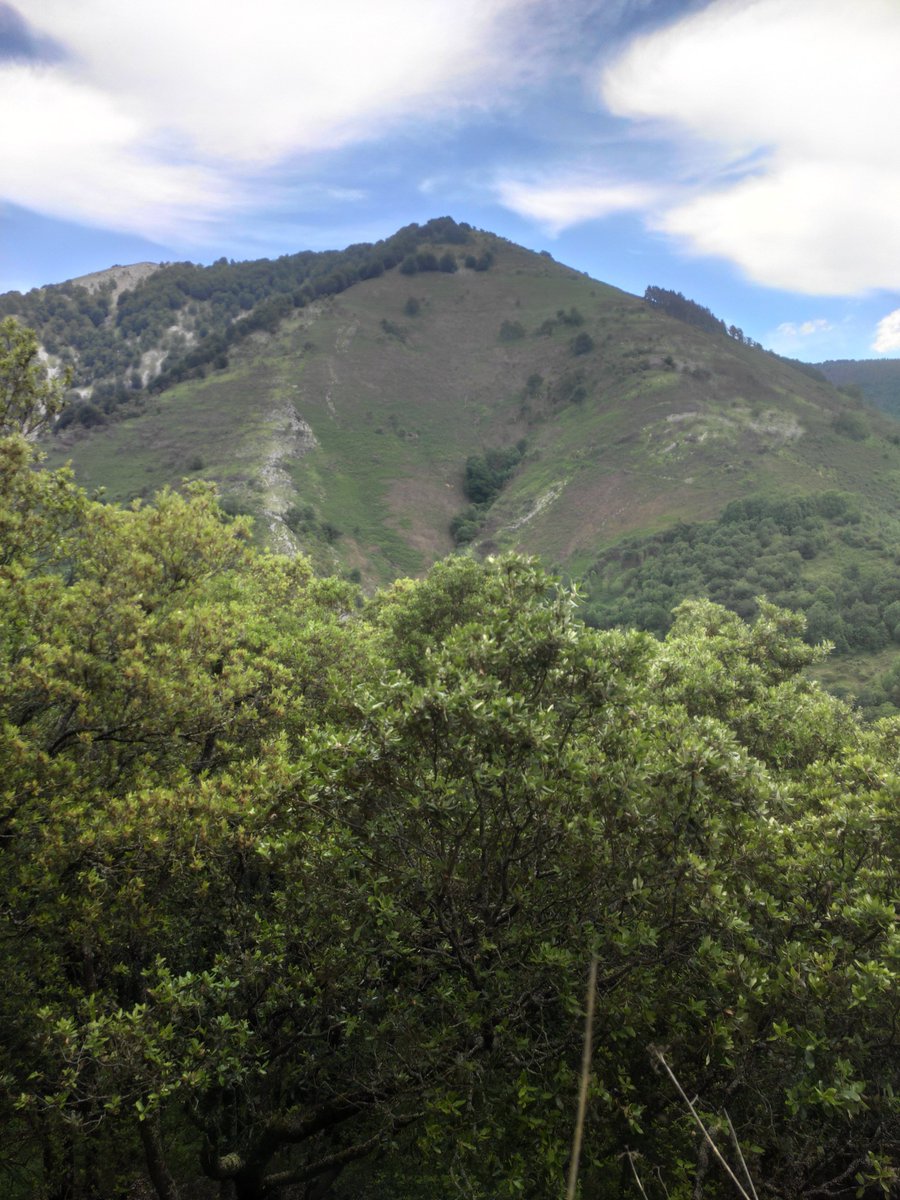 Ingurua ezagutzen jarraitzen dugu... Ederrak dira etxetik gertu ditugun paisaiak! 🧐📸📝
<a href="/jonaldaia/">Jon Aldaia Aierbe</a> <a href="/AndoniMateos/">Andoni Mateos Cabero</a>