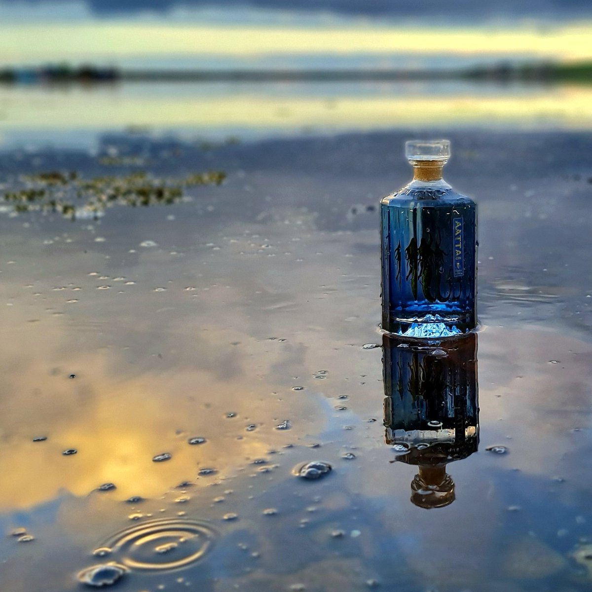 OrkneyGin's tweet photo. #ginadaymay - Day 31 - #celebration

We were completely stuck on ideas for this one!
Then just on cue we found out our Aatta and Akvavit won two golds awards, and overall drinks winner in the Scottish Retail Food and Drinks Awards 2022 announced this afternoon. 
#orkney #gin https://t.co/wmeBsWrKDI