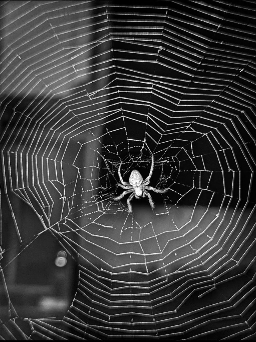 Metakind_'s tweet image. I bought Nft from 3 nice people today.The very kind and goodhearted people deserve to come to better places.Never forget that you can&apos;t take without giving. Do some things without expecting anything in return 
@ghostanon_
@DeryaAc35230335
@Meryem_kya07
@opensea
#NFT #NFTCommunity