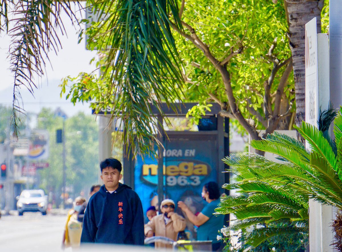 OutfrontDecaux's tweet photo. Today’s GREENS 🍃brought to you by #labusstops 📸 

Happy Tuesday! ✌🏽😊

#urbanphotography
#concretejungle
#labusshelters https://t.co/FpbCjBtquQ