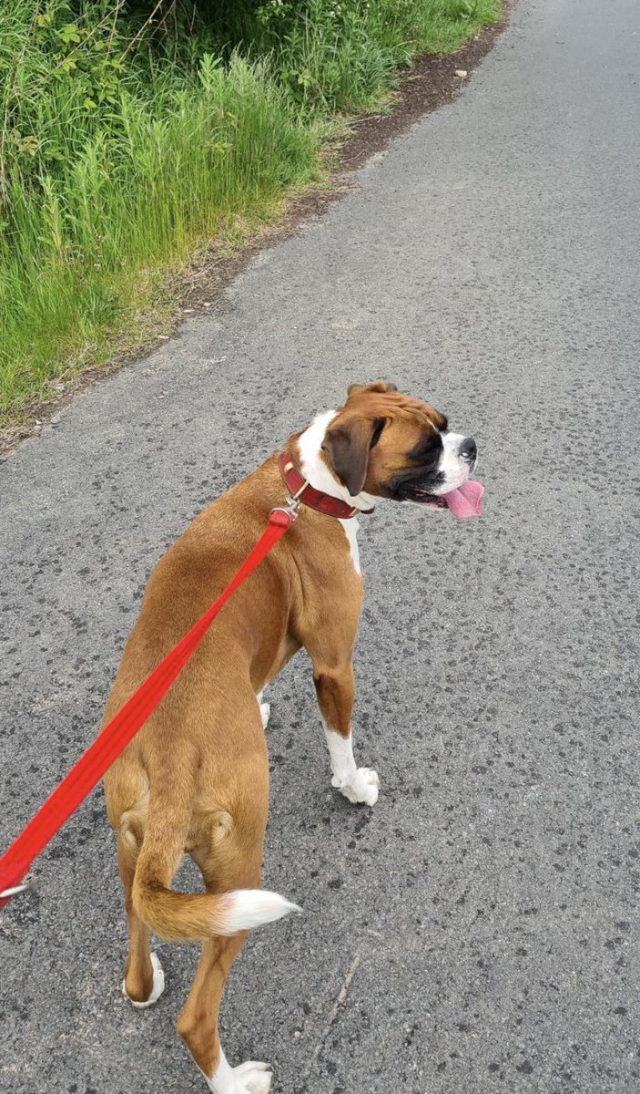 Gateshead College tweet media