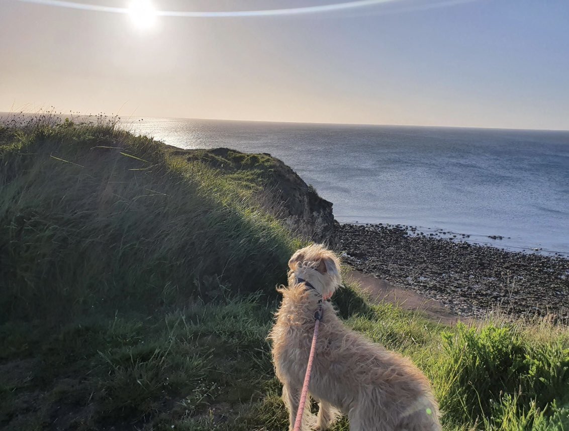 Gateshead College tweet media