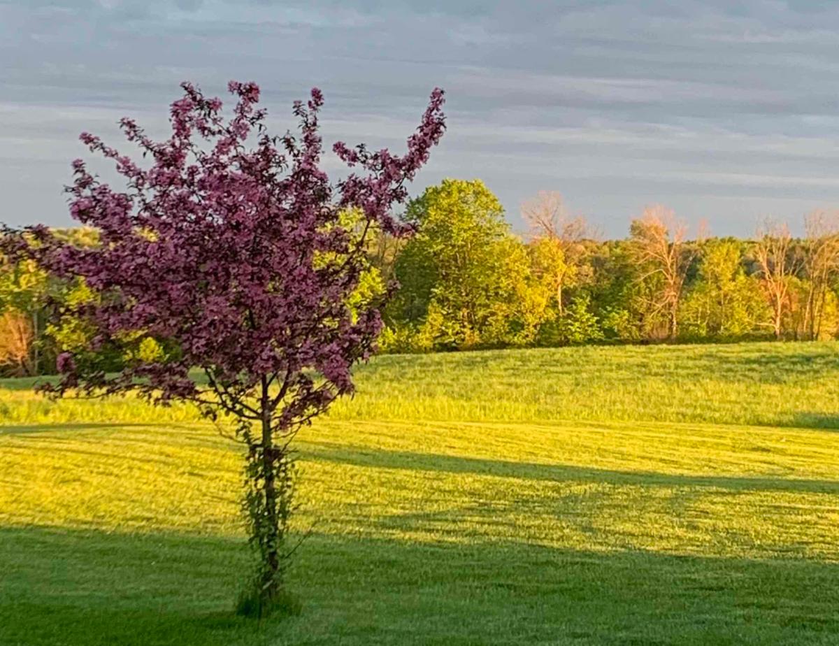 GLWImke's tweet photo. Check out our upcoming offerings for Summer!
https://t.co/rPaFs1J4oE
https://t.co/pnV1A57wl9 https://t.co/u6kacu4G6m