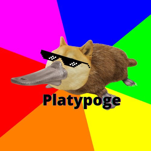 PlatyPoge's tweet photo. Platypoge🔥

Just Launched. Safe dev and will slow moon this. Marketing will all be organic and this is still early. Get in before the marketing starts! Swap and staking platform will be developed on the run.
https://t.co/0mXmVTN71u
https://t.co/Oqirjukp54
https://t.co/PLYyTVdlng https://t.co/j3a2OpQrtt