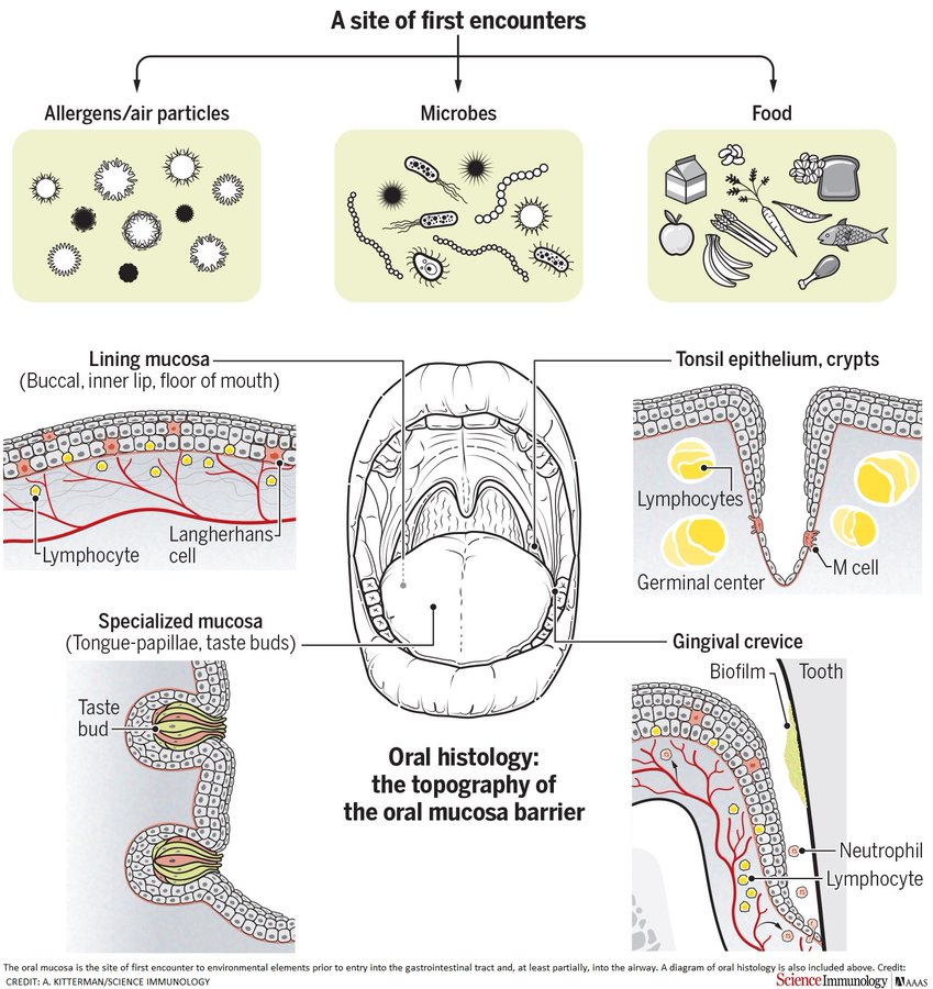 Science Magazine on Twitter:
