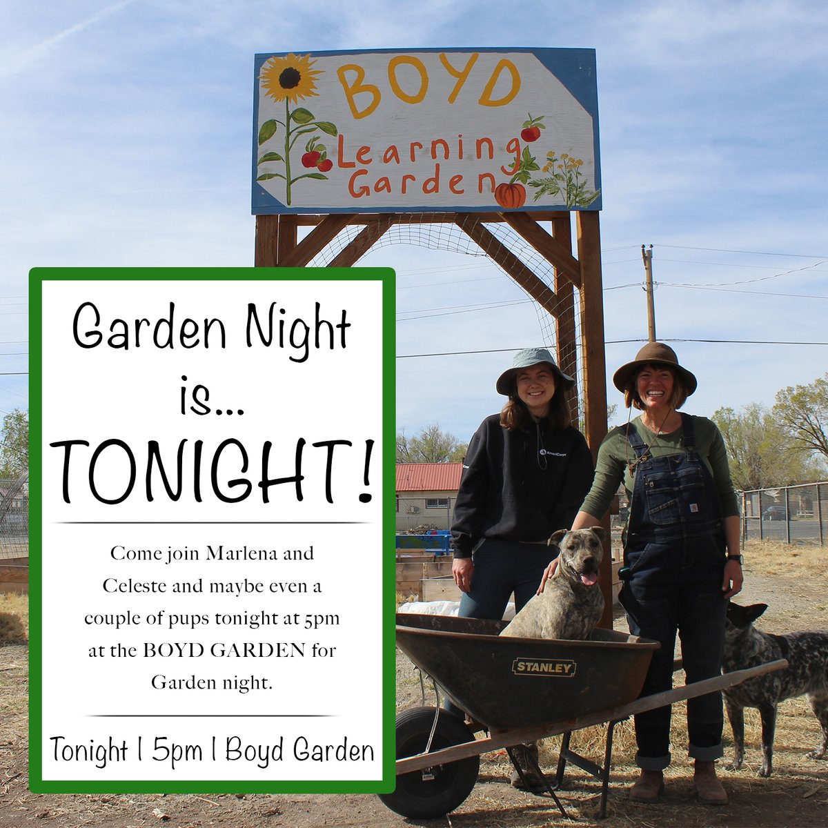 LaPuenteHome's tweet photo. Tonight is Garden Night at the Boyd Garden!  Come out from 5-7 to hang out with the VEGI team (dogs may or may not be included) and get your hands a little dirty and help out with the veggies. https://t.co/7o1pyFHLvf