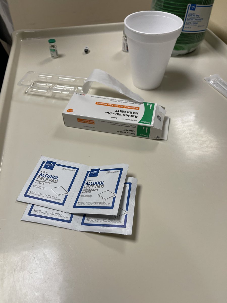 Andrew Novak tweet media