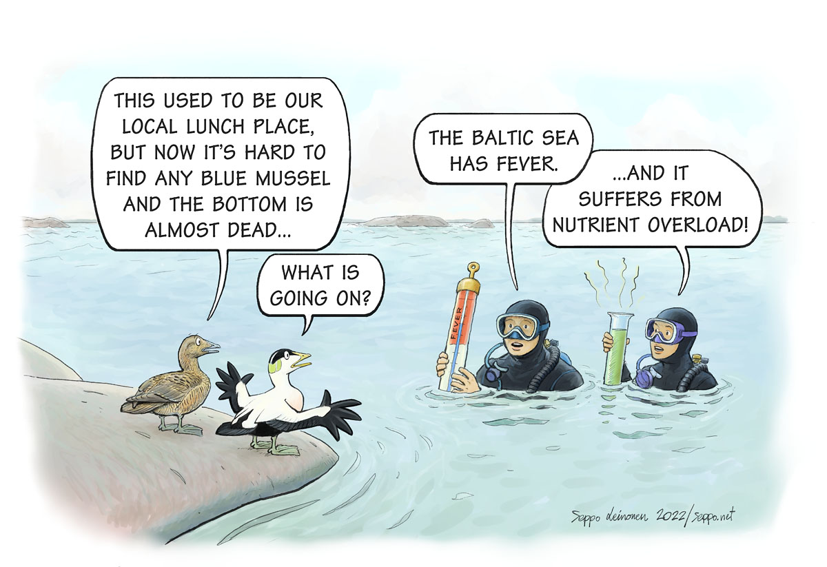 sepponet's tweet photo. Passion for the Baltic Sea – 120 years of research at the @Tvarminne Zoological Station! 
Exhibition at @luomus Helsinki 17 May to 30 Oct. 2022. 
Videos, photos &amp; cartoons about nature &amp; research of the fragile #BalticSea #eider #bluemussel #research
https://t.co/XHUNrMGDkv https://t.co/TCP1OATsFS