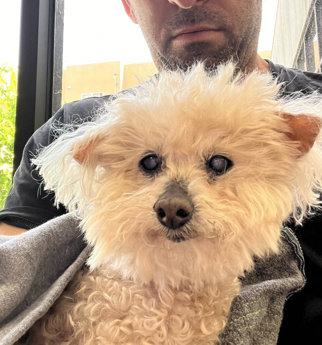Klein back at the vet with Chloe. #Sweet16 https://t.co/NTnJGimTmI
