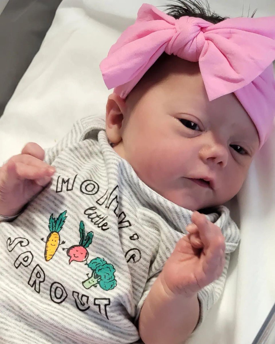 Micky Dolenz tweet media