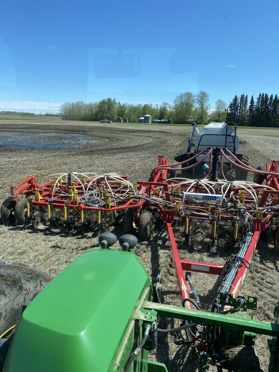 JeffTurets's tweet photo. On a year like this you have to take the little things as small victories. Not bad conditions for 1.25 inches of rain Saturday. Good thing I left the high spot. #wheat #rollin #plant22 #nesask https://t.co/2qIf0r2vEf