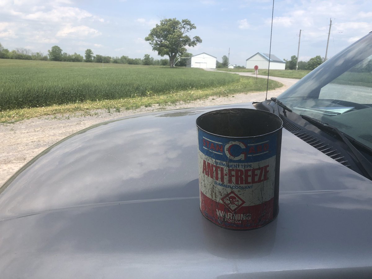 The Pennings have been in Chicken Farming in Prince Edward county for 50 years this year. I’m pretty sure this antifreeze can has been a feed scoop for most of those years. The feed scoop and the farm are still going strong!