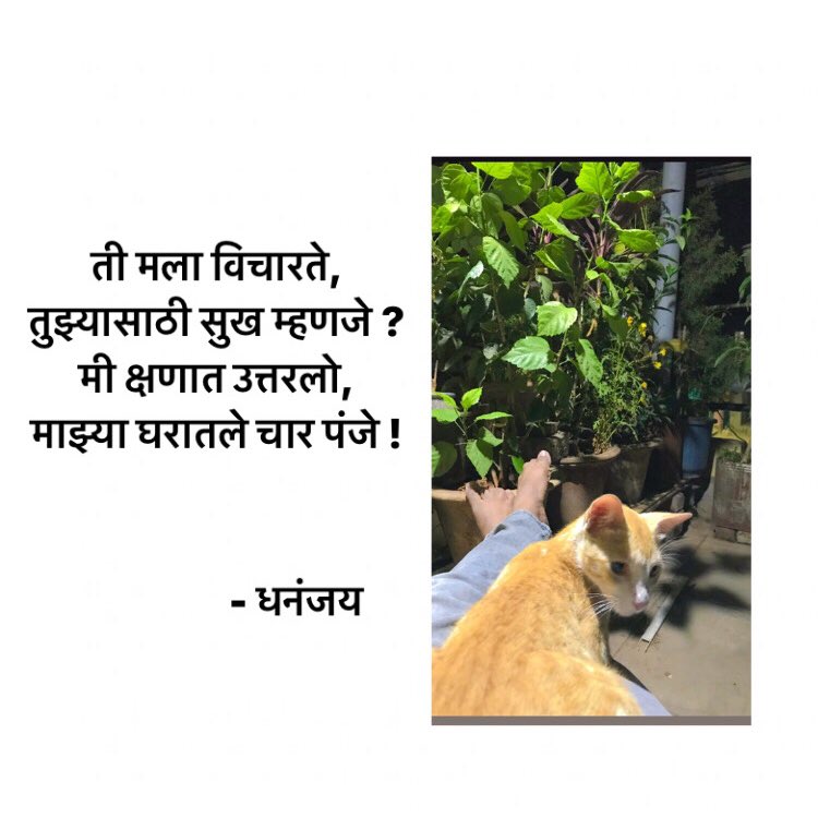 D_jayxx's tweet photo. #DDquotes🖊 #ddwrites #dhananjay #dhananjaydeokate https://t.co/zM3BkbyHUf