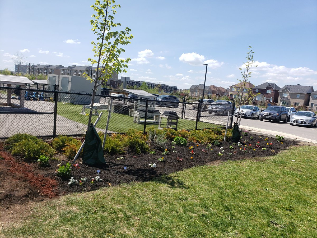 École élémentaire Dyane-Adam tweet media