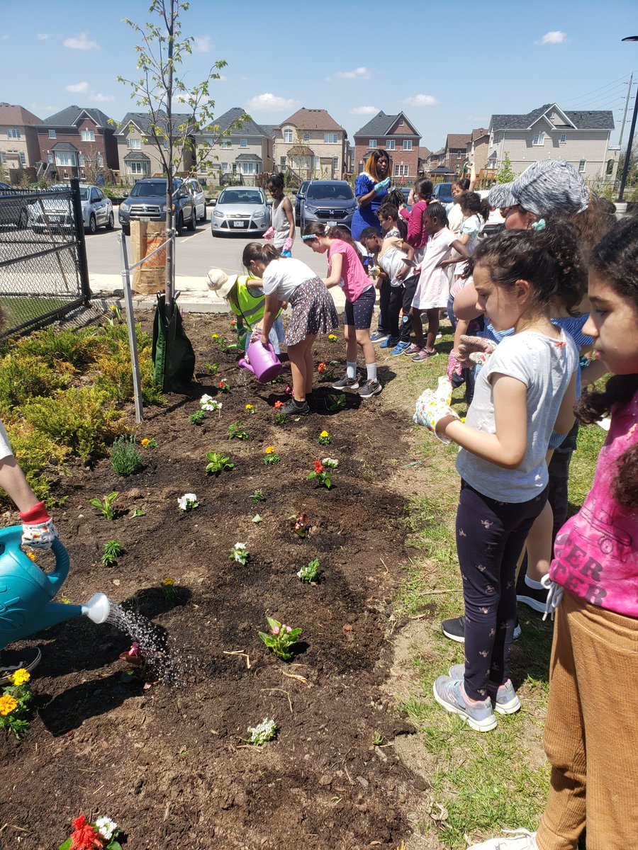 Le vendredi 9 mai, les élèves de l'école Dyane-Adam ont planté des fleurs devant l'école avec l'aide des parents. Merci de leur aide ainsi que leurs dons. Nous sommes très reconnaissants de la générosité de tous!