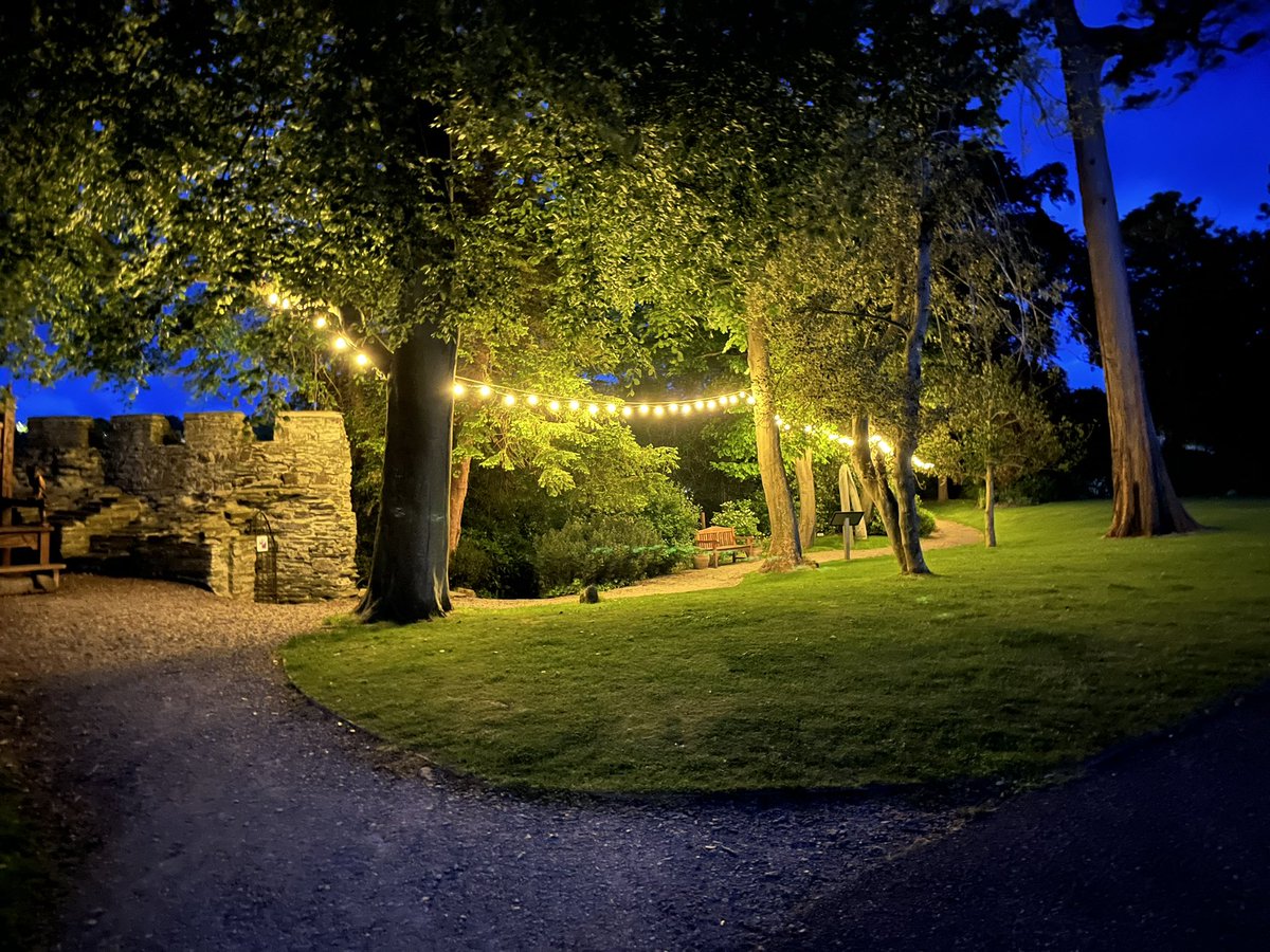 Jo Dyer 🎈💙 tweet media