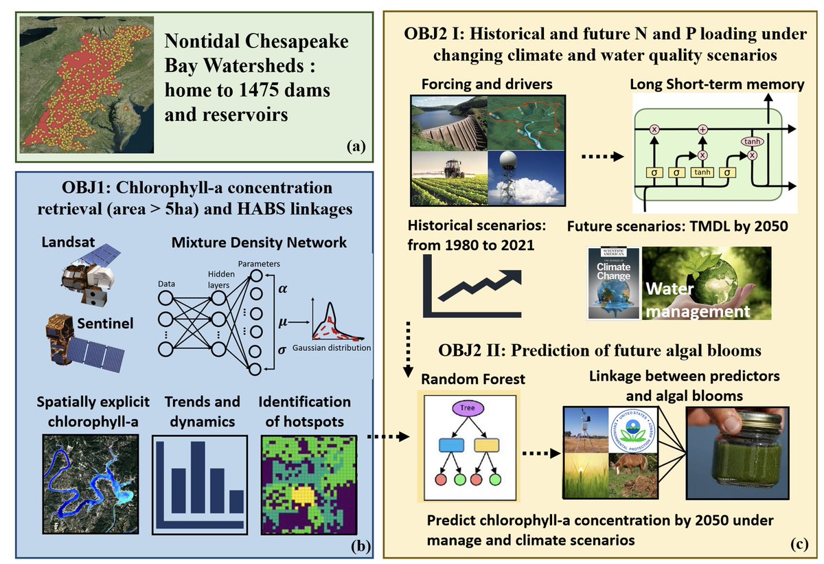 VanmeterKVM's tweet image. So proud and happy to announce that Shuyu Chang has received a 3-yr NASA FINESST award for her research using remote sensing and machine learning to detect and predict algal blooms in Chesapeake Bay Watershed reservoirs @shuyo5  #VanMeterLab @PSUEarth @psugeography @nima_pahlevan
