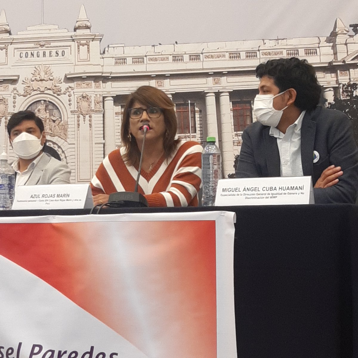 PresentesLatam's tweet photo. 🇵🇪📢 #Perú 
📢Se presentó el Informe de las características criminológicas de las muertes dolosas de las personas LGTB entre 2012-2021.

💥El 94,4% de los asesinos fueron hombres con un promedio de edad de 18 a 24 años.

🖊️Reporta: @periodistatrans https://t.co/SuustyzSpo