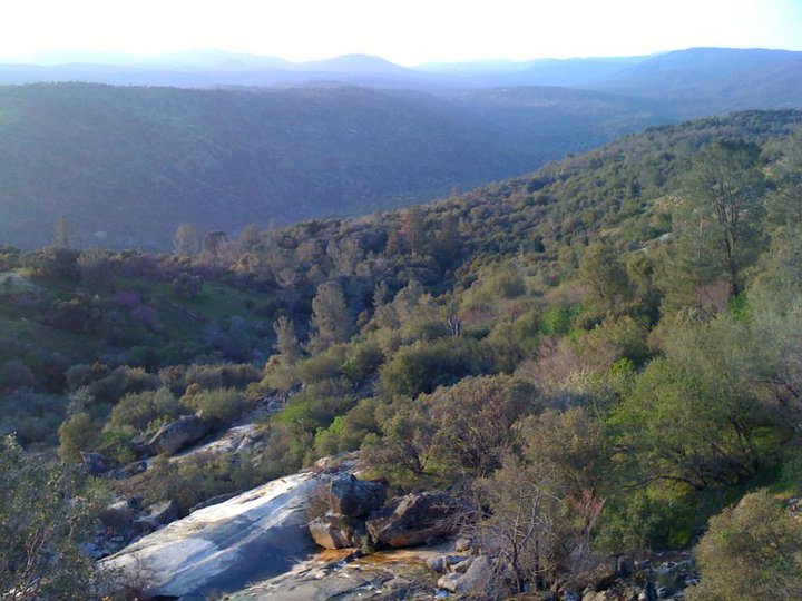 After living almost our entire lives in crime-ridden LA, we moved up to the Sierra Forest, next to a Wilderness Preserve. We now deal with mountain lions, bears, and packs of coyotes. All these were taken from our property. I'll NEVER give up my right to defend myself.
#Pro2A