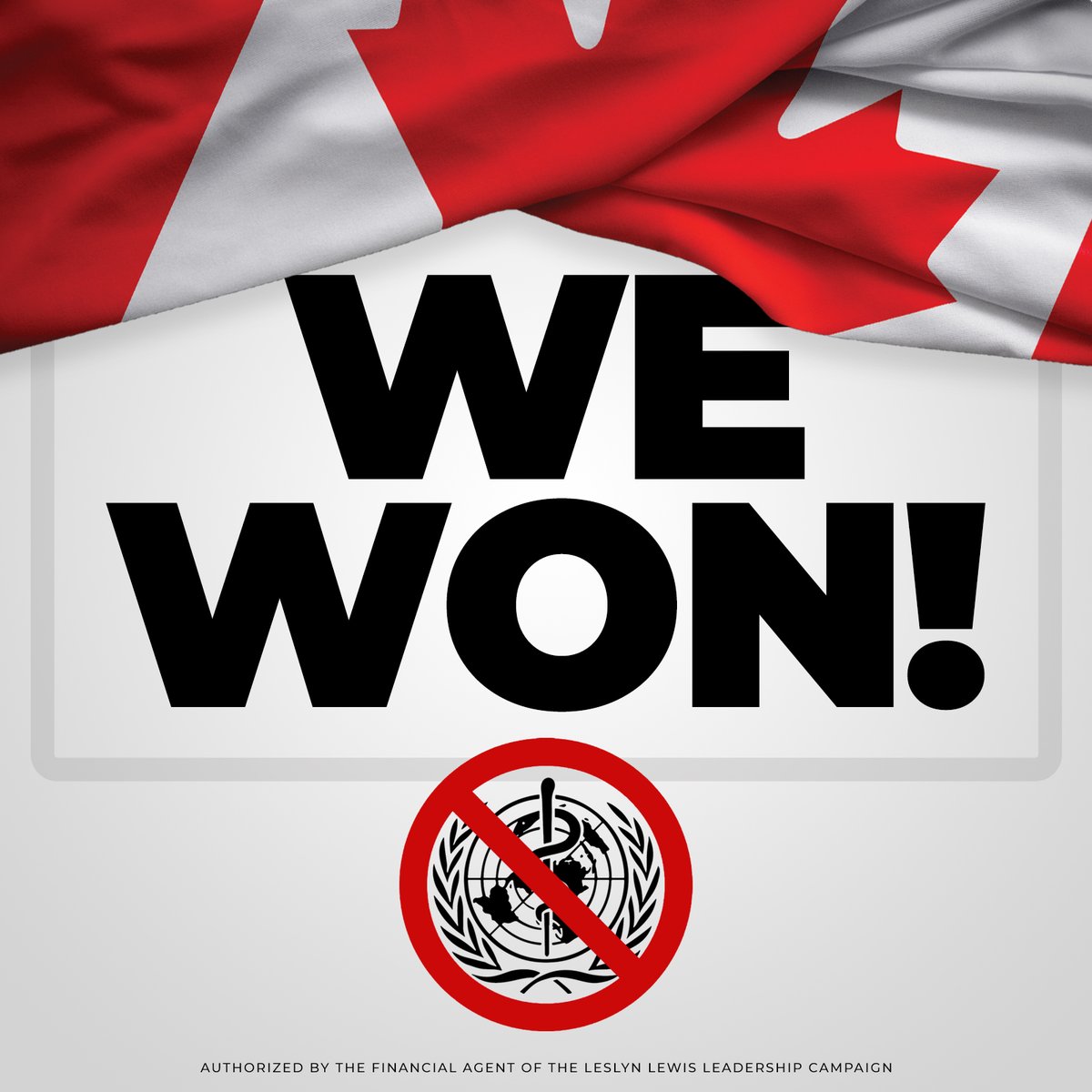 A HUGE victory for Canadians who care about healthcare sovereignty. The 13 amendments to the WHO International Health Regulations did not pass!
leslynlewis.ca/blog/victory-a…