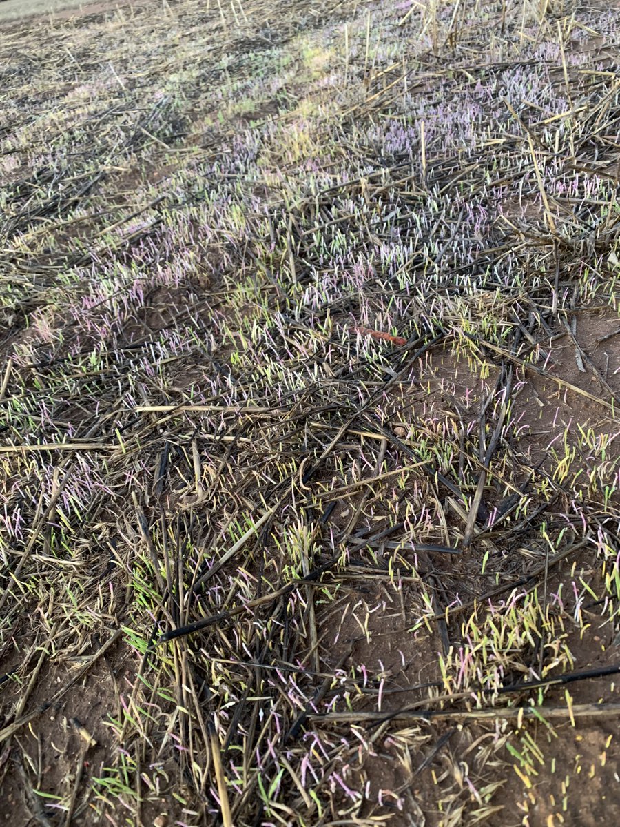 The colours of Overwatch, quite impressive