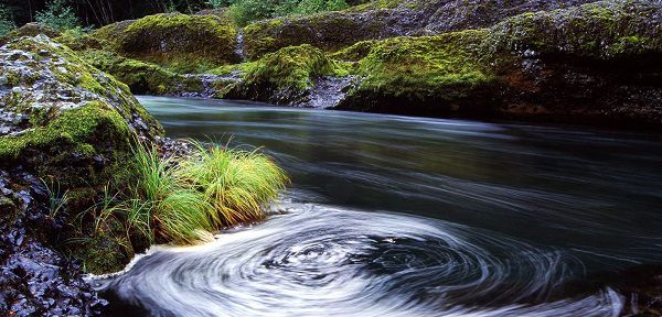 LivingROI tweet media