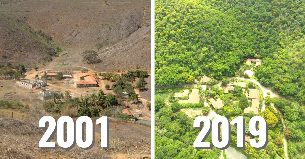 dsaezgil's tweet image. When I first saw this Before/After reforestation pic, I thought it was fake. 

But it&apos;s a real, amazing project by Brazilian photographer Sebastião Salgado &amp;amp; @InstitutoTerra_

We can #SaveSoil and Regenerate Earth 🌍