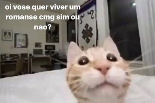 memeparaoarroba's tweet photo. https://t.co/824RWkNX4V