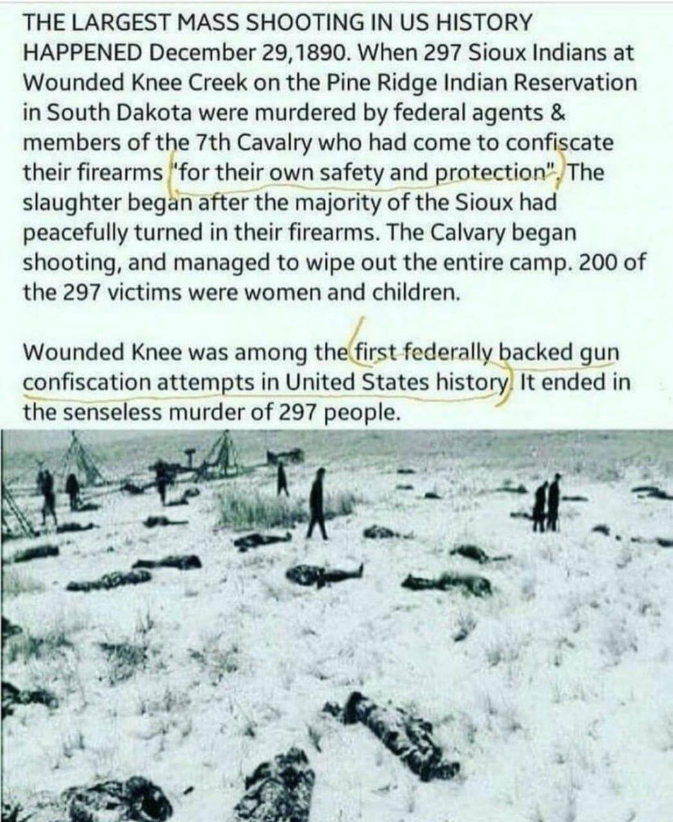 Rothmus 🏴 tweet media