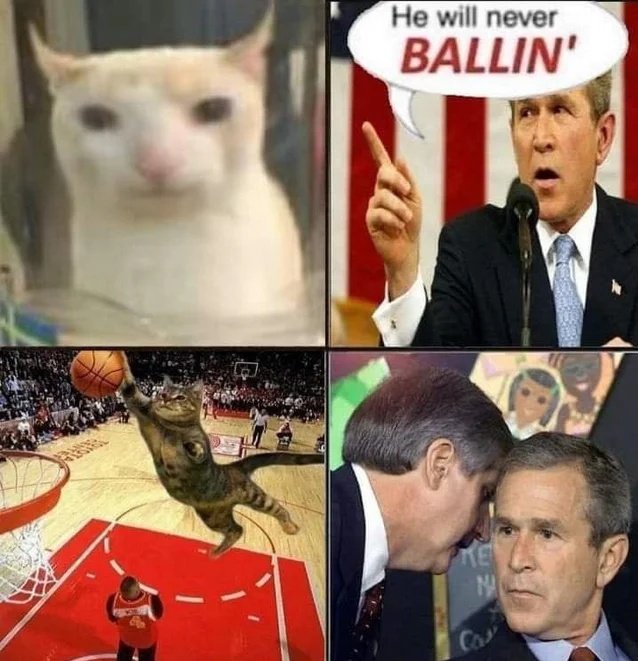 mr_trador's tweet image. 😳