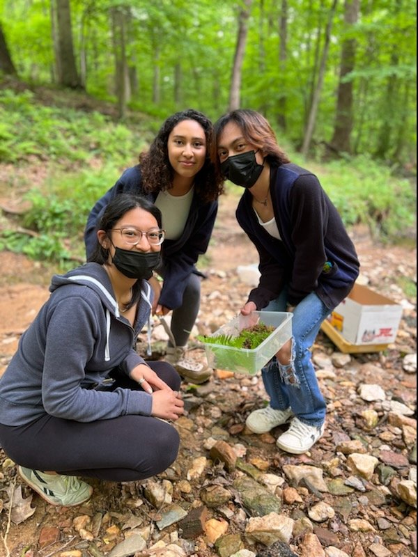 DeptScience's tweet photo. Last week, Juniors in IB Biology collected materials to build their own sustainable mesocosms from the local stream. They will track their progress in a lab journal for the rest of the year! https://t.co/6eN17UOigy