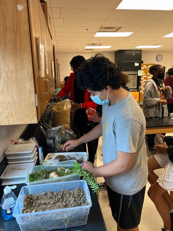 Last week, Juniors in IB Biology collected materials to build their own sustainable mesocosms from the local stream. They will track their progress in a lab journal for the rest of the year!