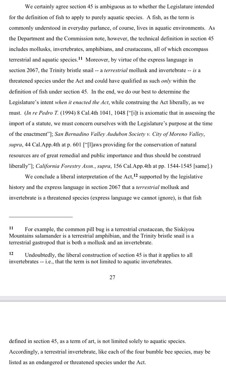 AjitPai's tweet photo. A California appeals court has ruled that bees are "fish" for purposes of the state's endangered species act. While "commonly understood" that a fish "lives in aquatic environments," "terrestrial invertebrate[s]," including bumble bees, qualify legally. https://t.co/X1ShOKFYYQ https://t.co/Htr8OfKjAO