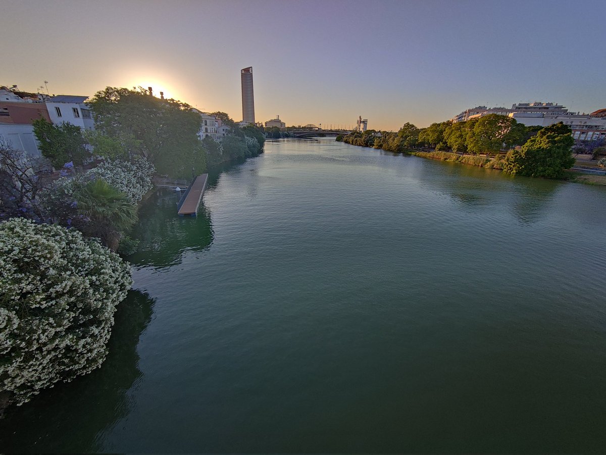 Jesús Ollero tweet media