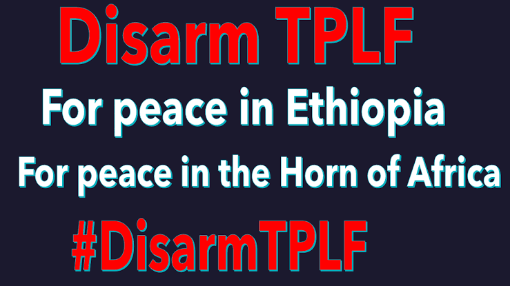EthiopiaService's tweet photo. የውጭ ሚዲያዎች ለምን ህወሓት ተነካ ብለው #Eritrea ላይ ዘምተዋል! #Eritrea እራሷን መከላከል መብቷ ሳይሆን ግዴታዋ ነው! ሁላችንም ከ ኤርትራውያን ጎን መቆም አለብን👏
#EritreaPrevails
#EthiopiaPrevails #TPLFTerroristsGroup
@NeaminZeleke @iyoba4u @DefenedG https://t.co/jWwoj65bus