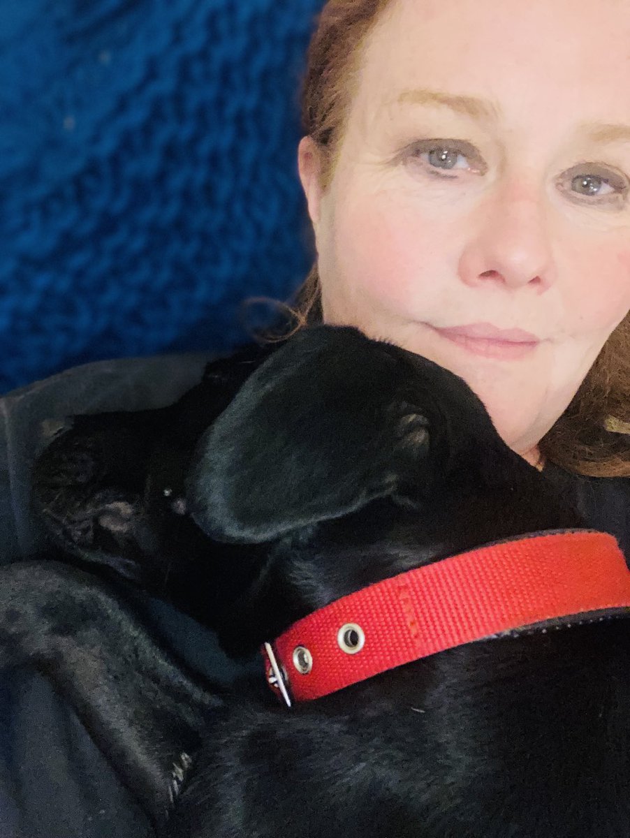 June Shannon tweet media